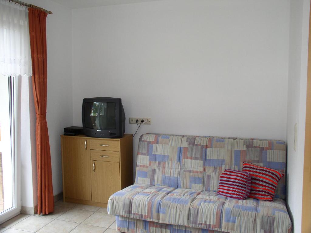 a living room with a couch and a tv at Haus Waldfriede in Pertisau