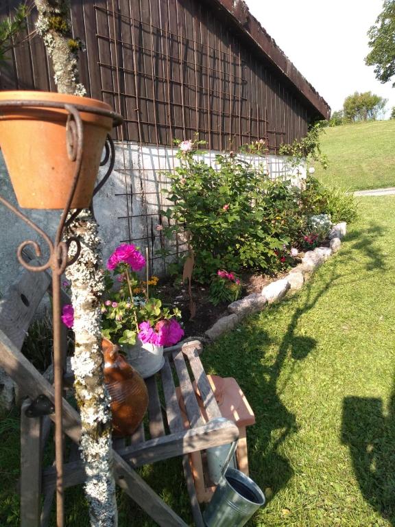 Zahrada ubytování Kim`s Cottage