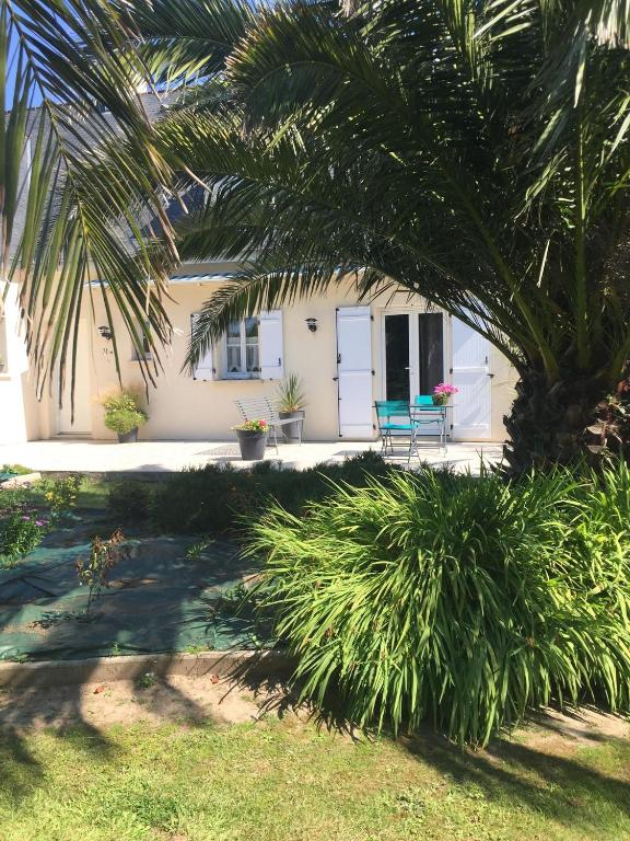 une maison avec un palmier devant dans l'établissement Côté jardin des Charmilles, à Quettehou