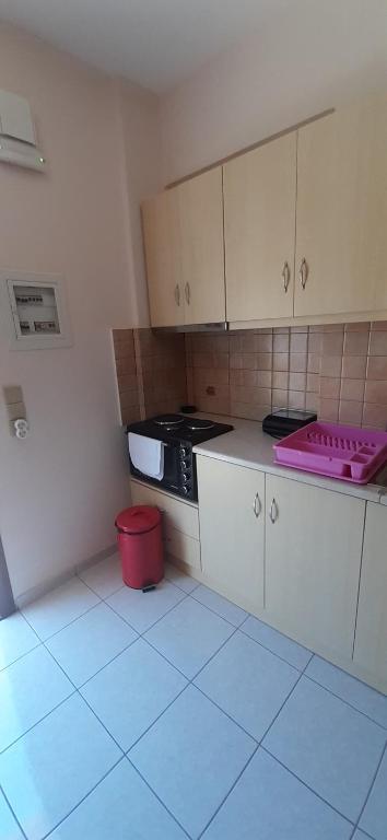 Kuchyň nebo kuchyňský kout v ubytování Savvas Apartments