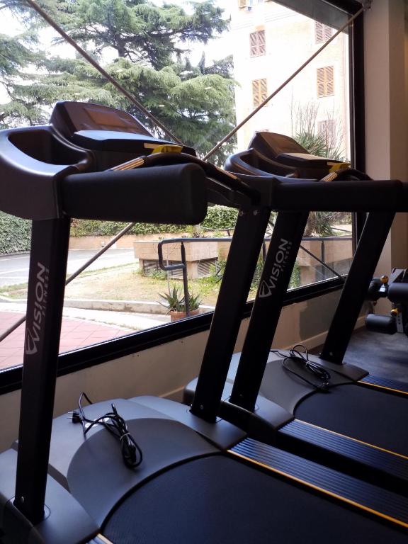 Fitness centrum a/nebo fitness zařízení v ubytování Hotel Michelangelo Palace & SPA