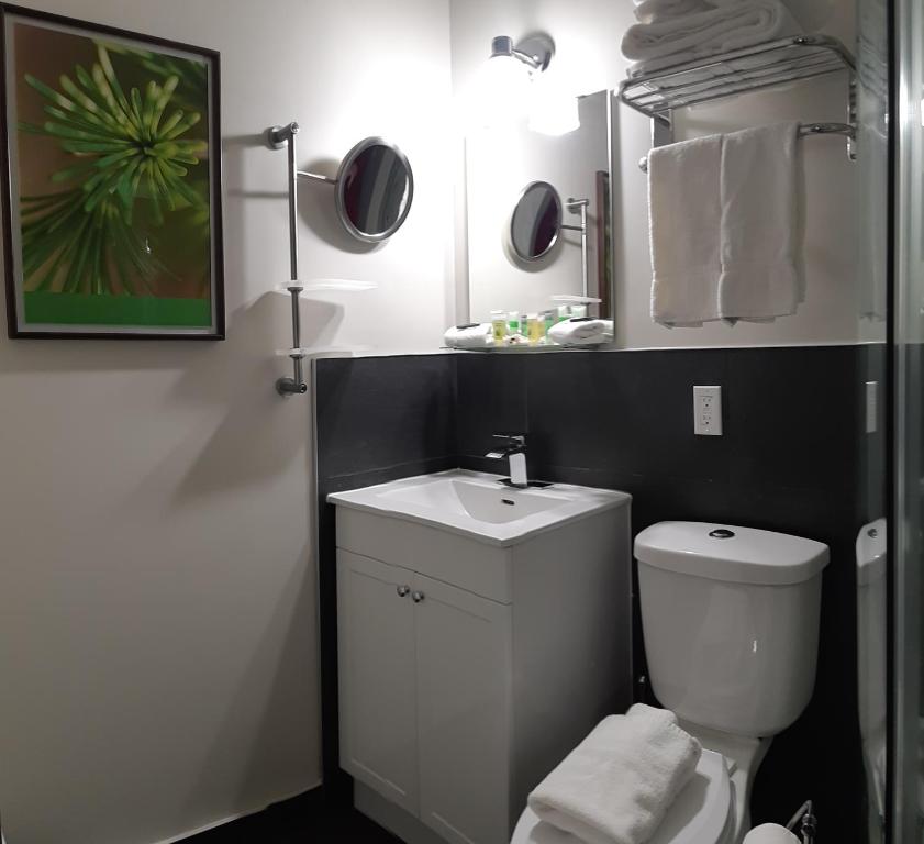 a bathroom with a white toilet and a sink at Oberge Inn Val-David in Val-David