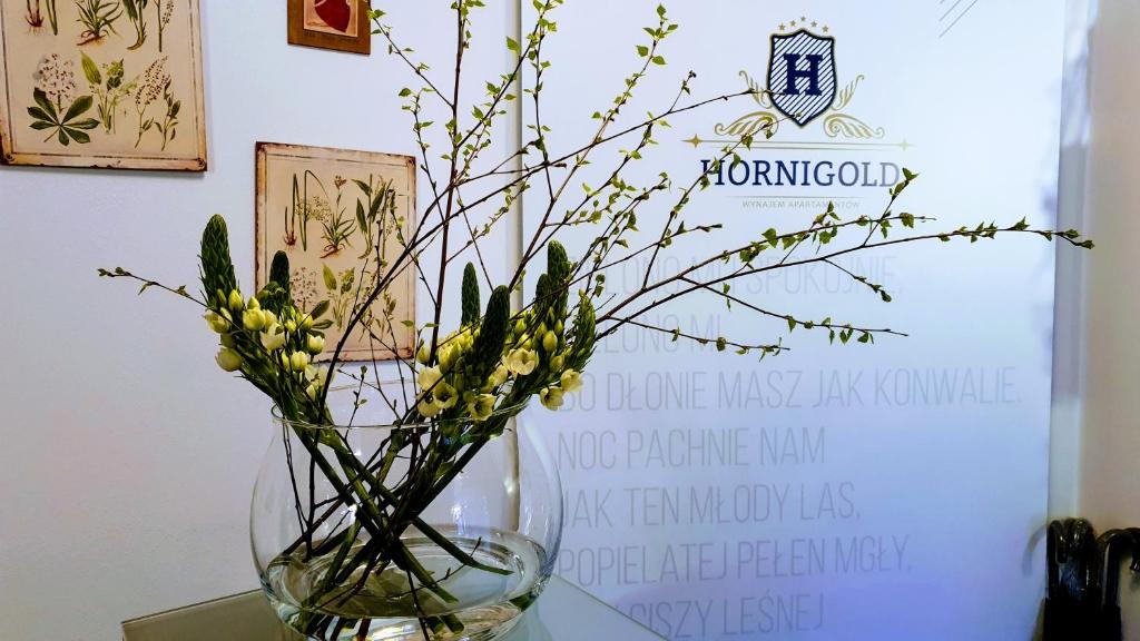 Aparthotel Hornigold \ - Resim 41