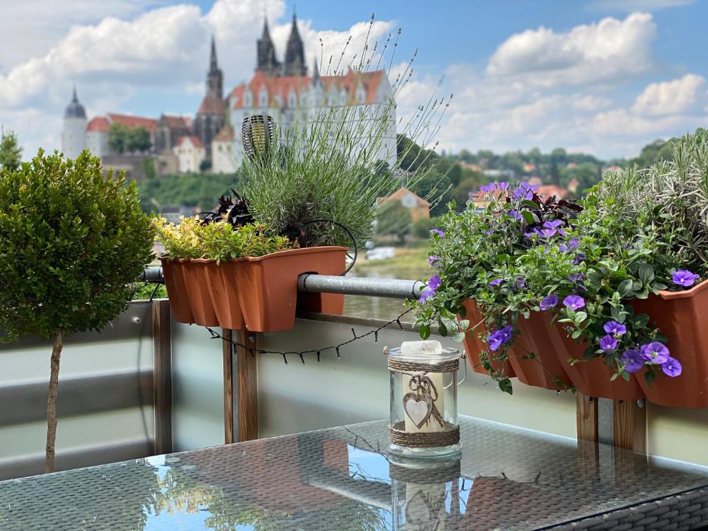 a balcony with three potted plants on a table at Ferienwohnung „Lena“ in Meißen
