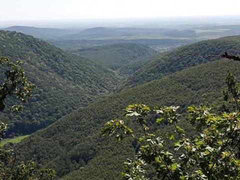Príroda v okolí apartmánu