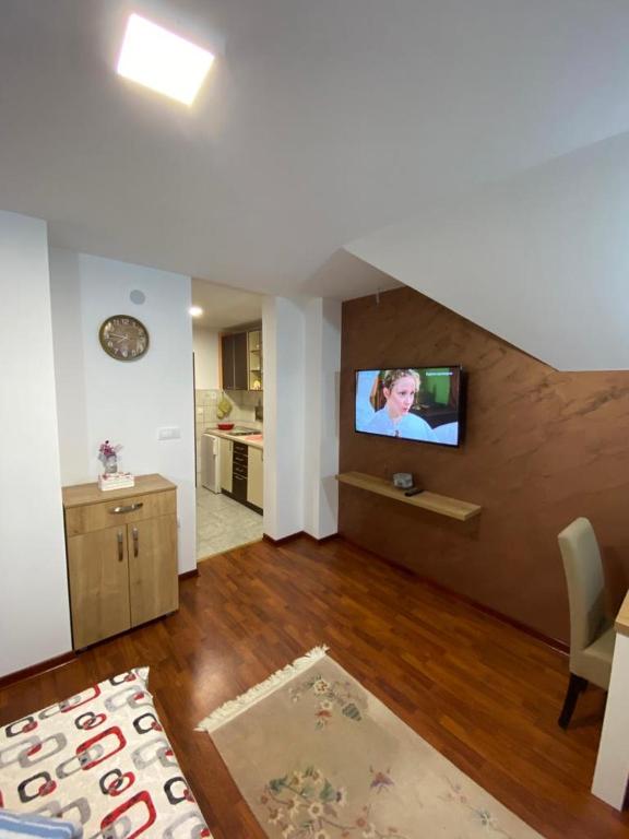 TV i/ili multimedijalni sistem u objektu Apartmani Bogdanović