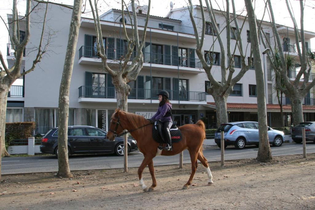 Zvířata v hotelu nebo okolí