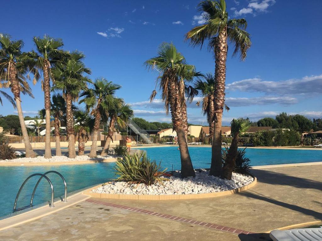 een zwembad met palmbomen in een resort bij Portiragnes in Portiragnes