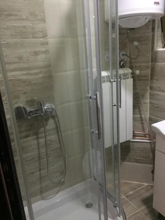 a shower with a glass door in a bathroom at Tara Medina koliba in Kaludjerske Bare