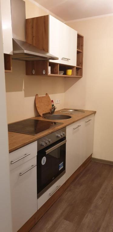 Kuchyň nebo kuchyňský kout v ubytování Hotel Igelstadt