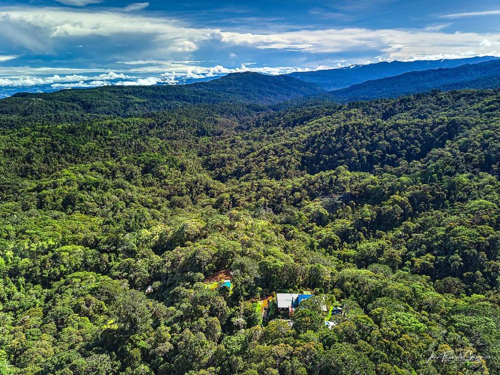 eine Luftansicht eines Hauses inmitten eines Waldes in der Unterkunft Iyok Ami (Madre Tierra) in Cartago