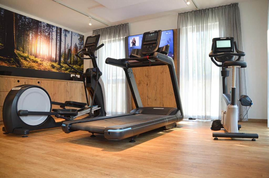 Fitness centrum a/nebo fitness zařízení v ubytování Hotel Hirsch