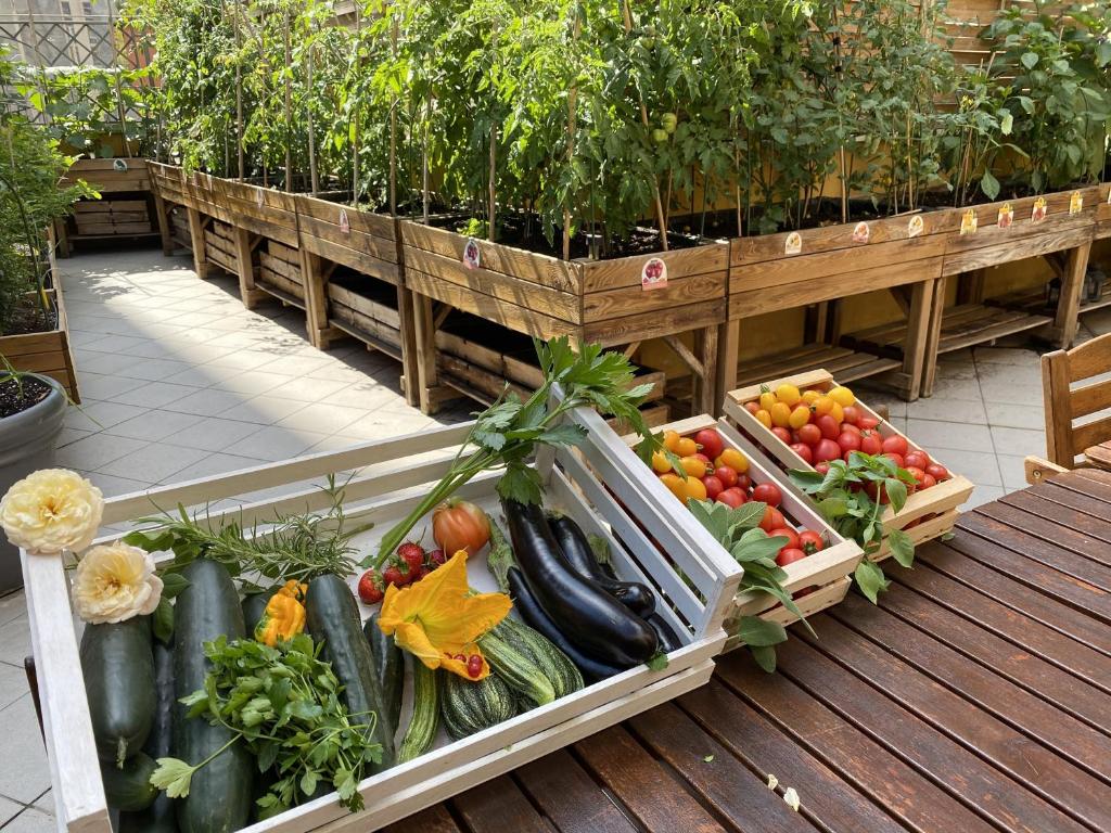 Trilussa Palace Hotel Congress & Spa - Resim 17