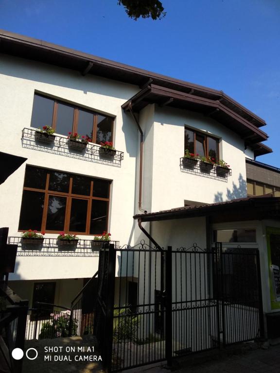a white house with two windows and potted plants at Casa Romaneasca in Curtea de Argeş