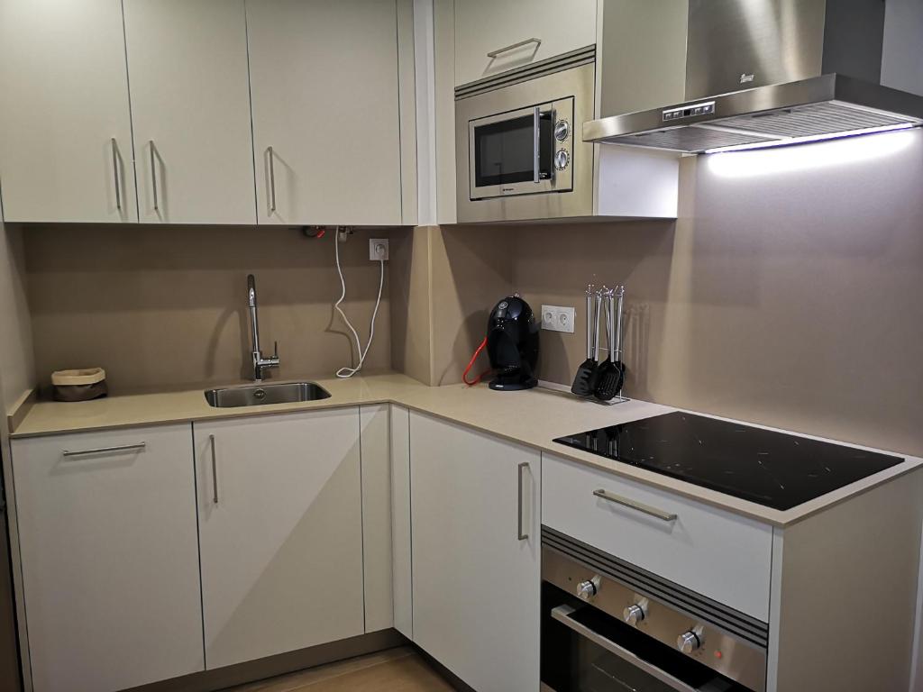Kuchyň nebo kuchyňský kout v ubytování AG Apartamentos en Conil