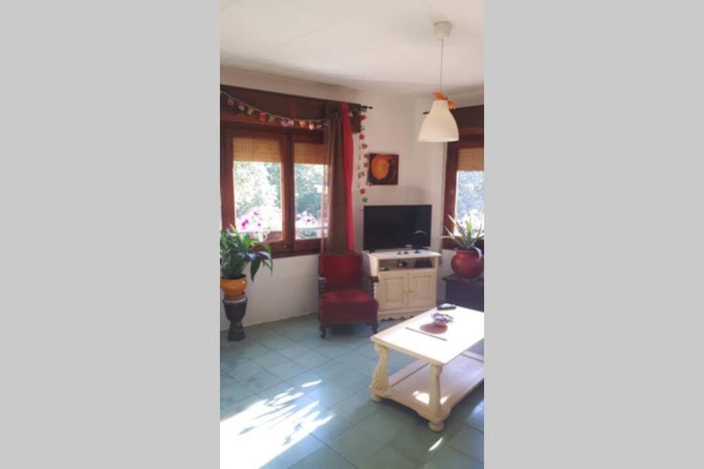 TV a/nebo společenská místnost v ubytování River house_Casa junto al río