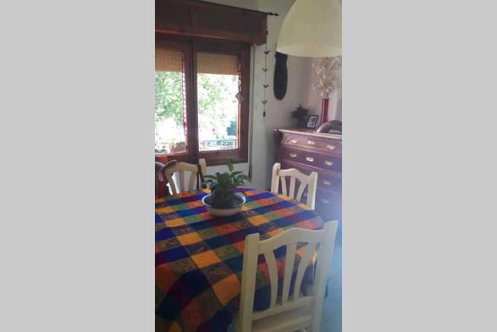 Posezení v ubytování River house_Casa junto al río
