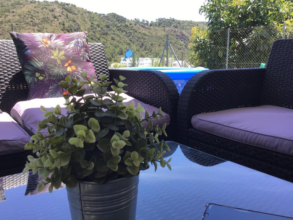 a vase with a potted plant on a patio at Los Pinos 8 in Benahavís