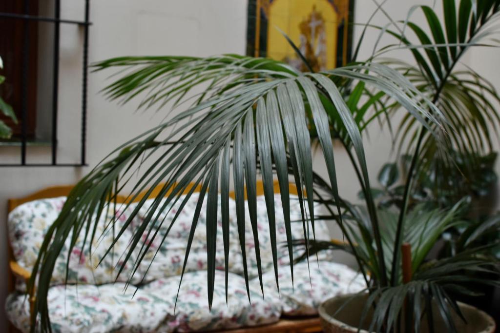 Hotel Convento La Gloria, Sevilla – Bijgewerkte prijzen 2023