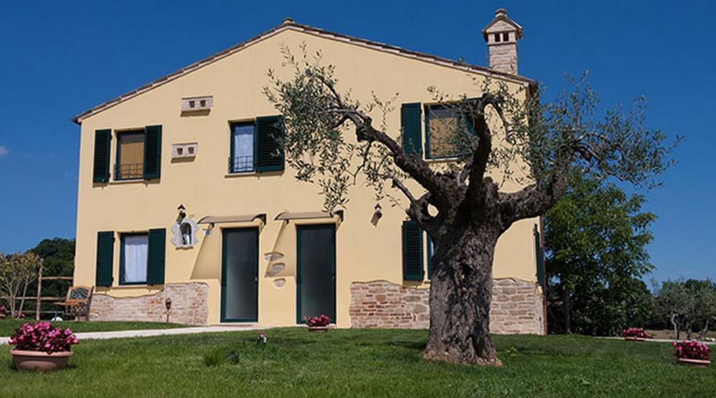una casa con un árbol delante de ella en LA TANA DEL CINGHIALE, en Santa Vittoria in Matenano