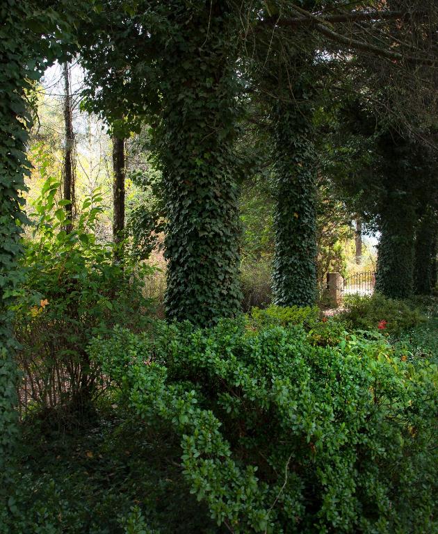 Zahrada ubytování Birches Cottage & the Willows Garden Room