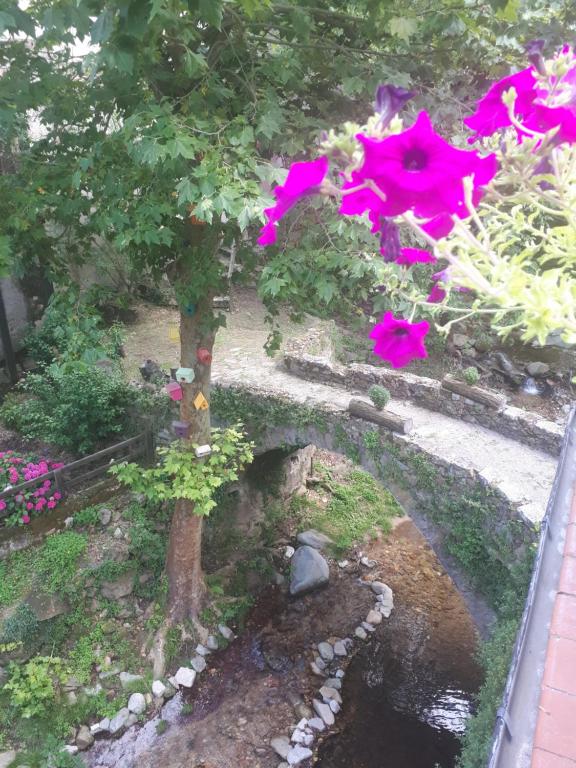 Zahrada ubytování River house_Casa junto al río