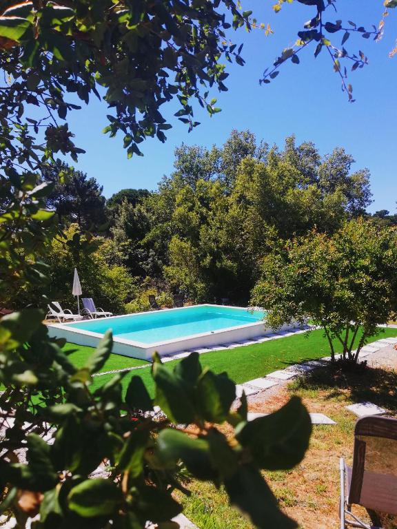 a swimming pool in a yard with trees at Quinta do Marinheiro - Meco in Aldeia do Meco