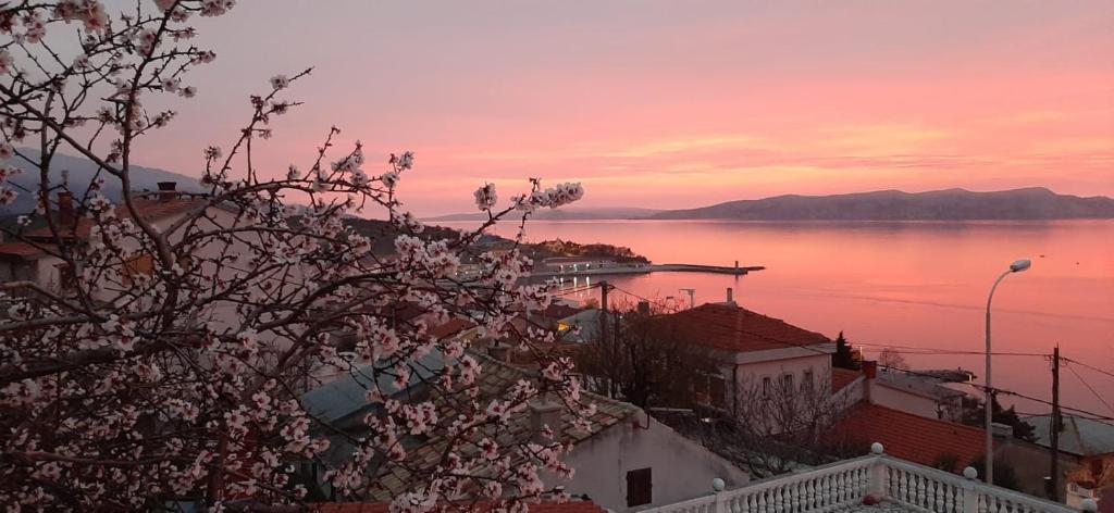 Príroda v okolí apartmánu