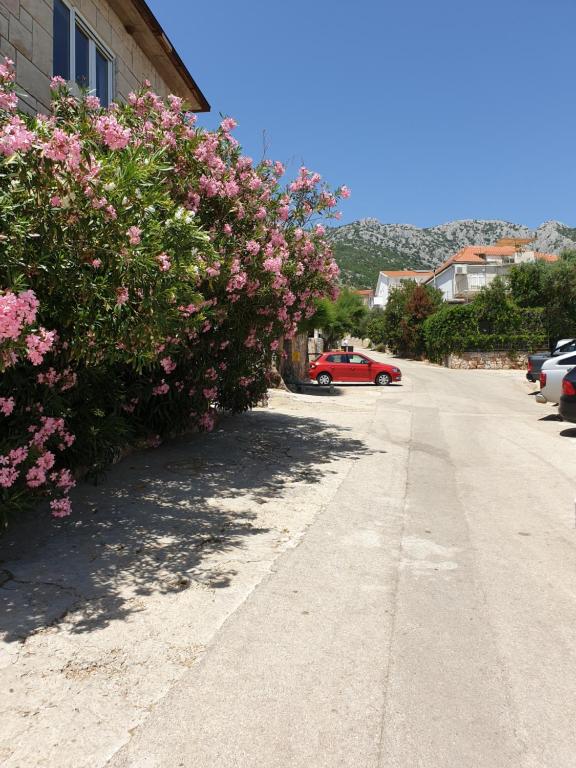 Príroda v okolí apartmánu
