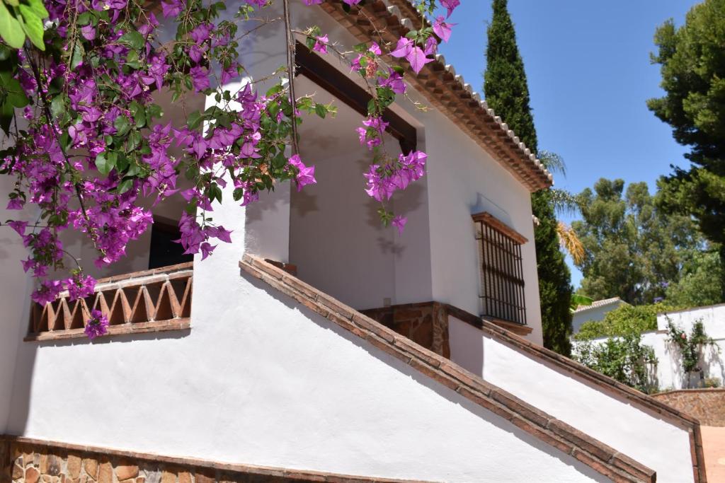 Edificio en el que se encuentra la casa o chalet