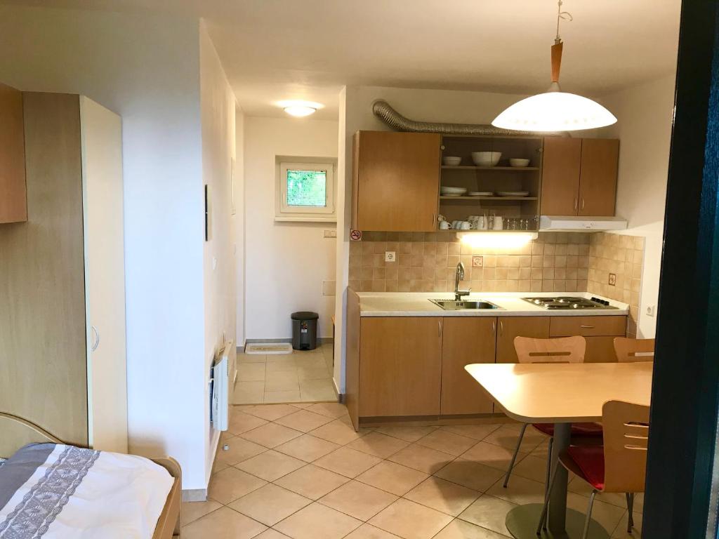 Kuchyň nebo kuchyňský kout v ubytování Apartment Gaber 82