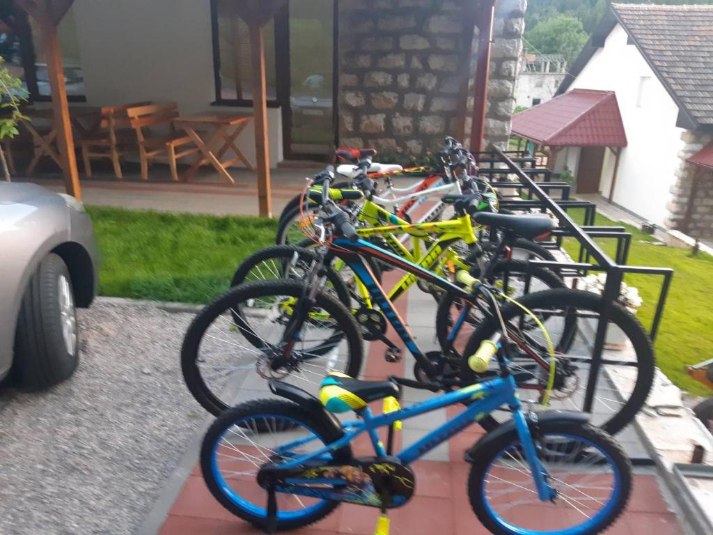 Jízda na kole v ubytování Sobe Gmitrovic nebo okolí