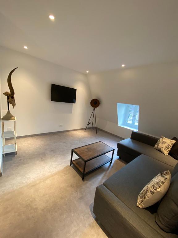 een woonkamer met een bank en een flatscreen-tv bij Le Duplex St Nicolas in Beaune