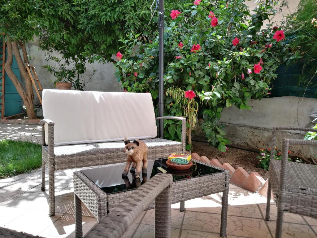 a small dog sitting on a table in a chair at BELLA PALERMO in Palermo