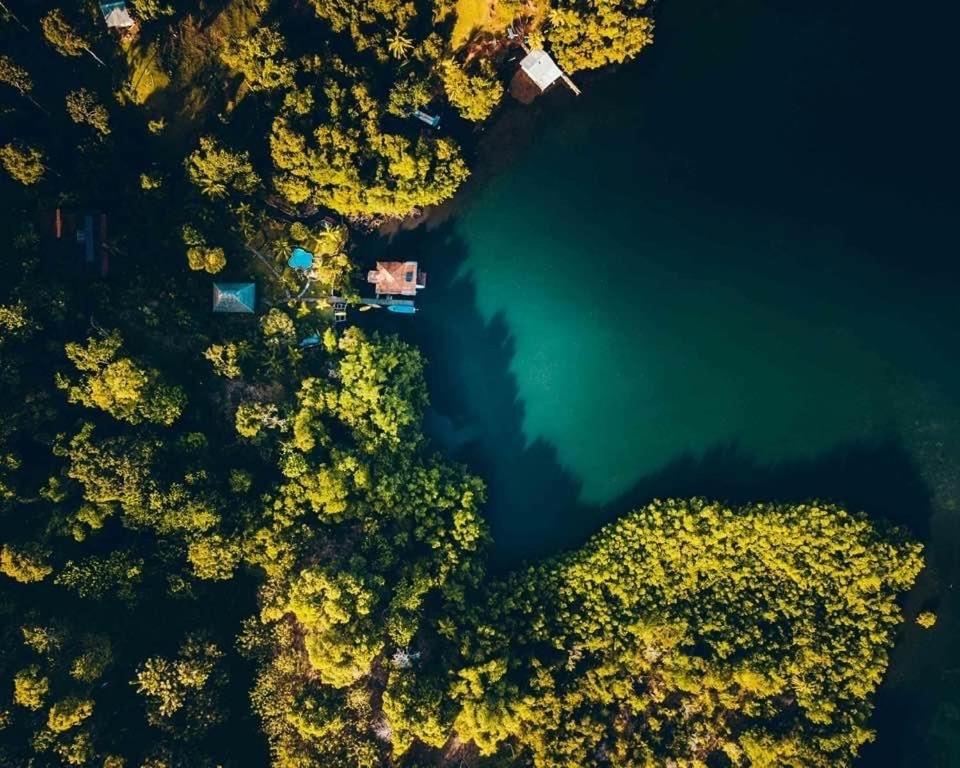 an aerial view of a lake in the woods at Dolphin Bay Hideaway in Bocas Town