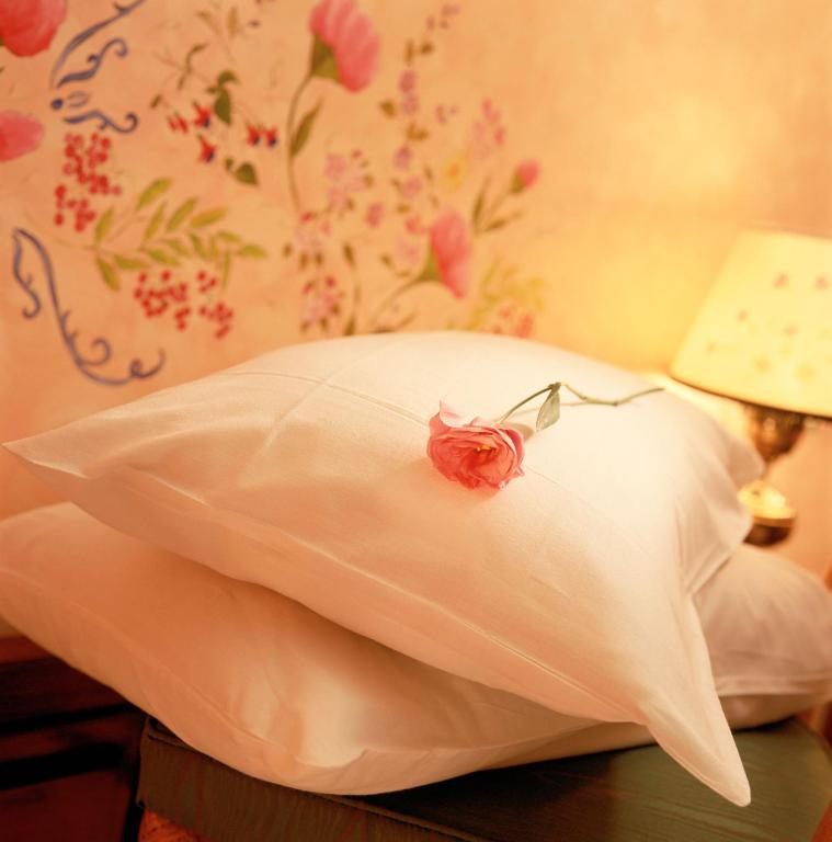 Hotel Park Villa photo