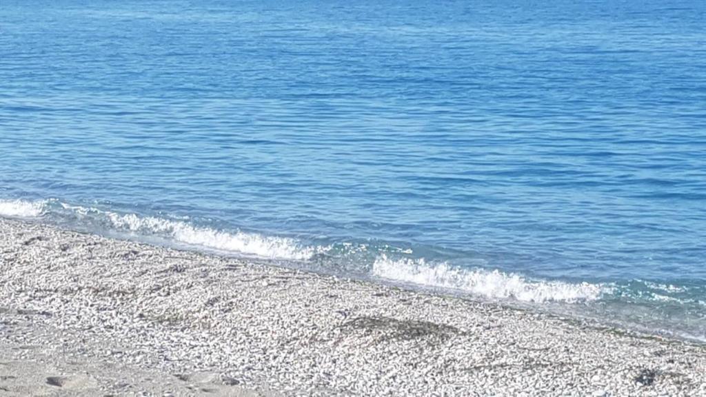 una playa rocosa con el océano en el fondo en To Giouli en Volos