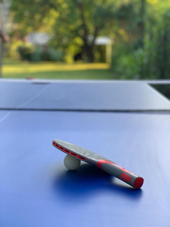 Stolný tenis v ubytovaní House4U alebo v jeho okolí