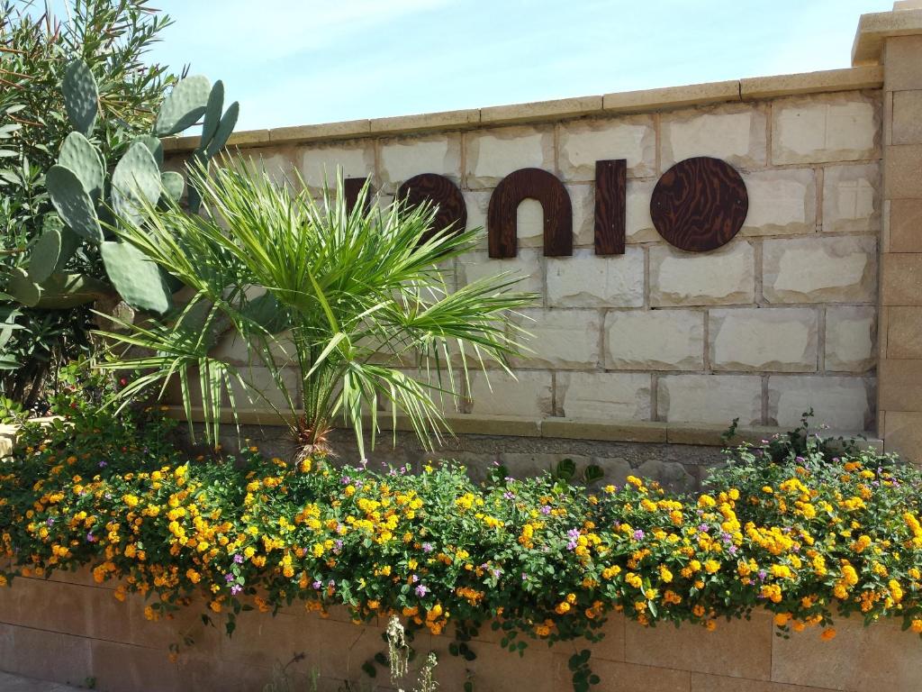 Сад в Hotel Jonio
