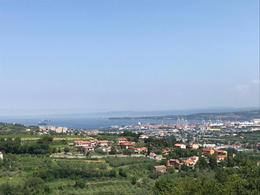 Příroda nedaleko apartmánu