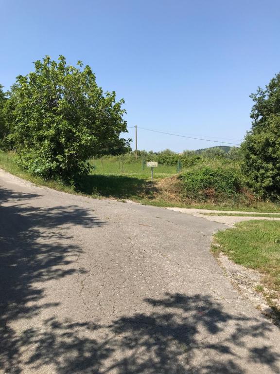 Příroda nedaleko apartmánu