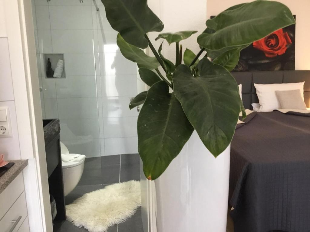 Fotografie z fotogalerie ubytování Hotel Zum Berggarten v destinaci Kassel