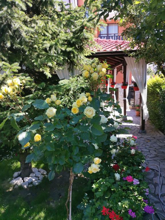 Zahrada ubytování Boutique Guest House IKONOMOV