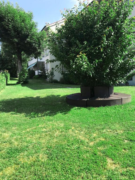 Charmantes Apartment - Resim 22