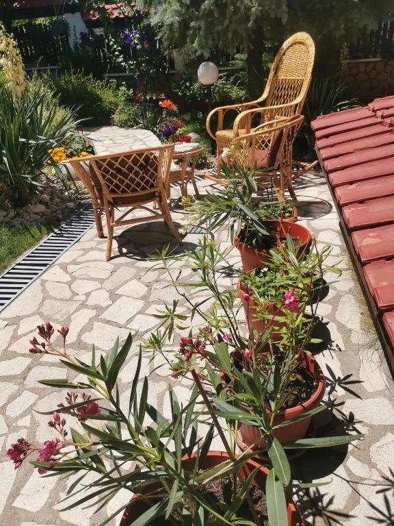 Zahrada ubytování Boutique Guest House IKONOMOV