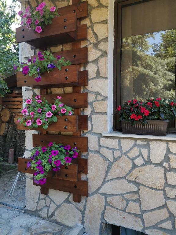 Zahrada ubytování Boutique Guest House IKONOMOV