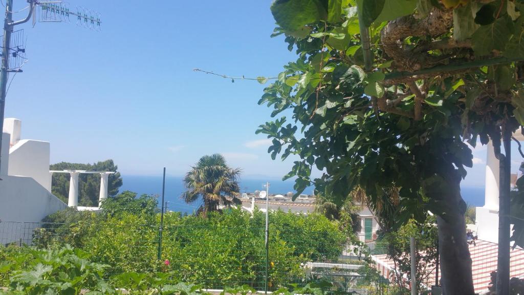 Villa dei fiori B&B - 13