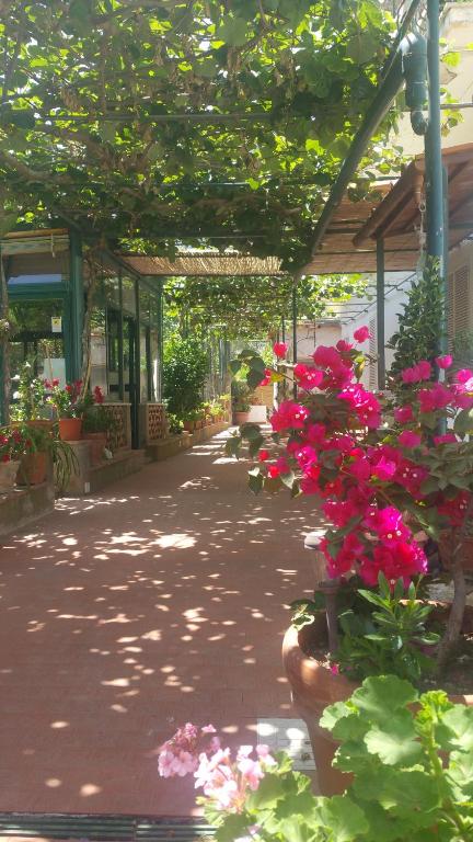 einen Gehweg mit rosa Blumen in einem Gebäude in der Unterkunft Villa dei fiori B&B in Capri
