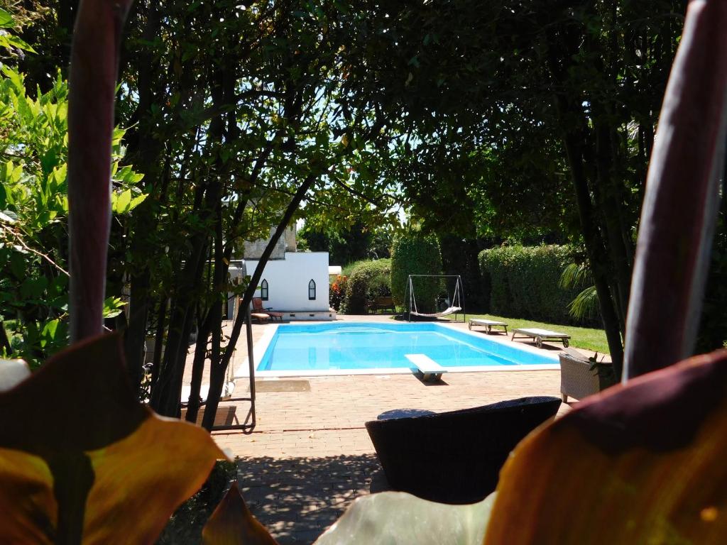 una piscina in un cortile con sedie e alberi di Appartamento con piscina immersa nel verde a Cascina