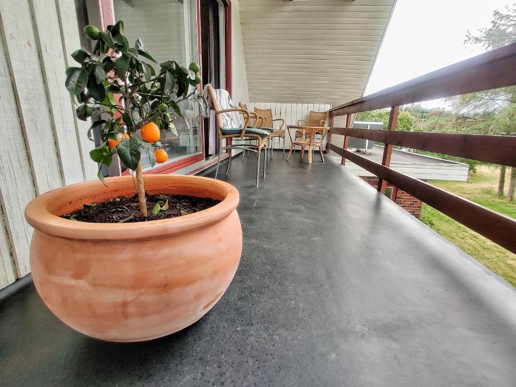 Balkón nebo terasa v ubytování Villa Nida